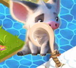 Collection Moana pour le Nouvel An