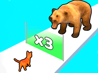 Katze Evolution